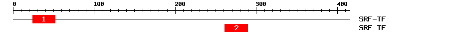 Signature Domain