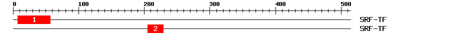 Signature Domain