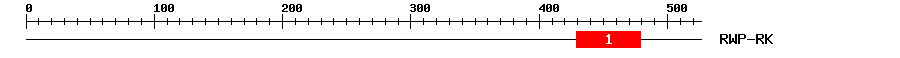 Signature Domain