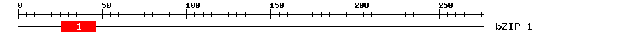 Signature Domain