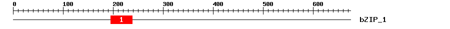 Signature Domain