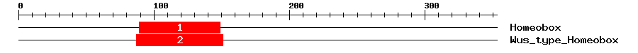 Signature Domain