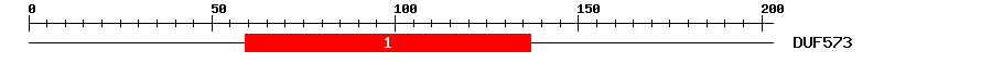 Signature Domain