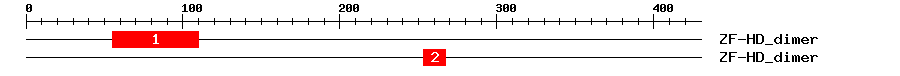 Signature Domain