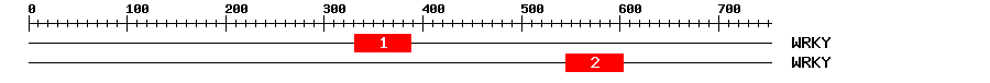 Signature Domain