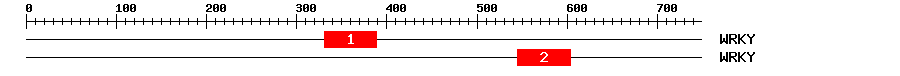 Signature Domain