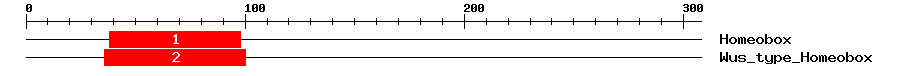 Signature Domain