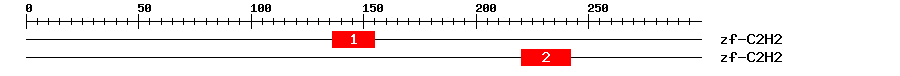 Signature Domain