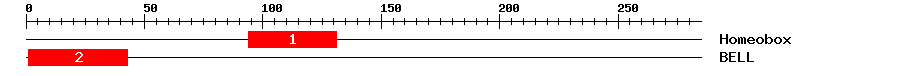 Signature Domain