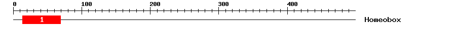 Signature Domain