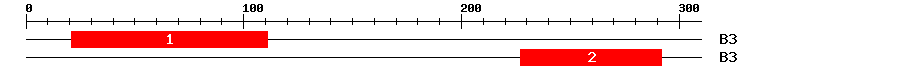 Signature Domain