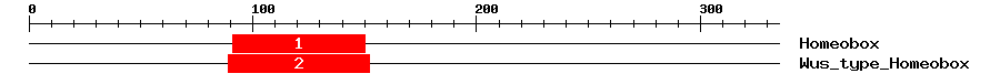 Signature Domain
