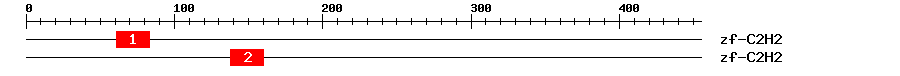 Signature Domain