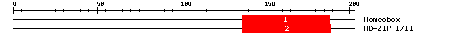 Signature Domain