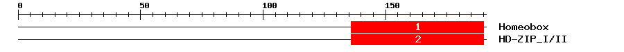 Signature Domain