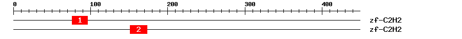 Signature Domain