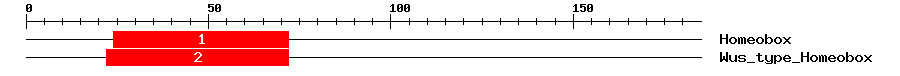 Signature Domain