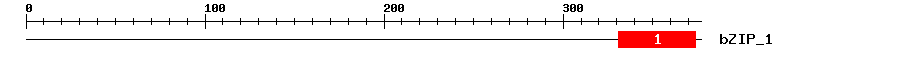 Signature Domain