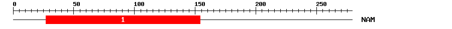 Signature Domain