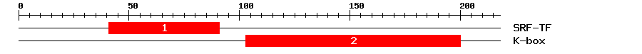 Signature Domain