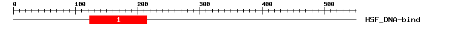 Signature Domain
