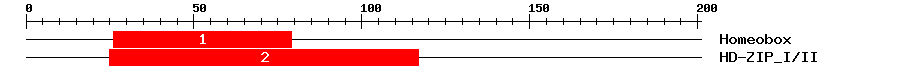 Signature Domain