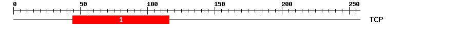 Signature Domain