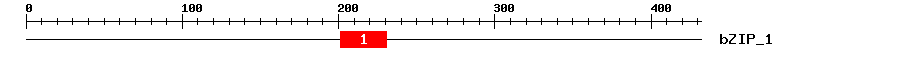 Signature Domain
