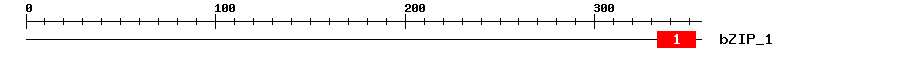 Signature Domain