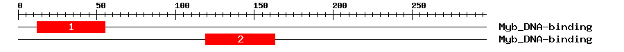 Signature Domain