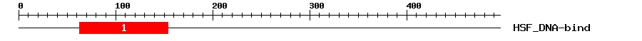 Signature Domain
