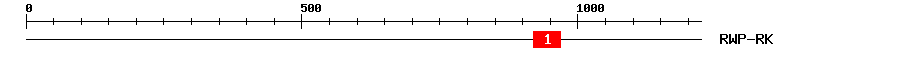 Signature Domain