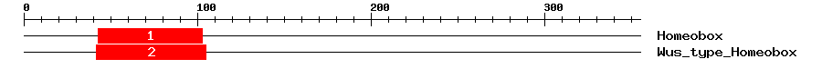 Signature Domain