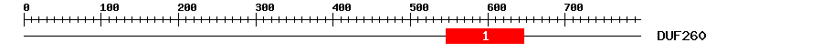 Signature Domain
