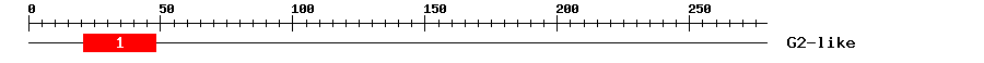 Signature Domain