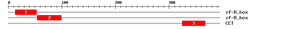 Signature Domain