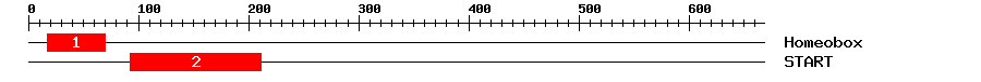 Signature Domain