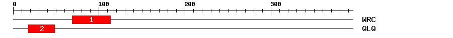 Signature Domain