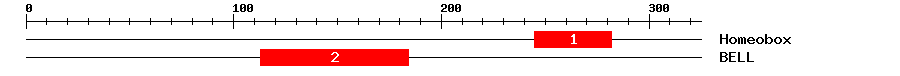 Signature Domain