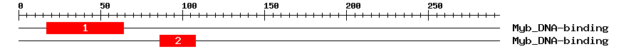 Signature Domain