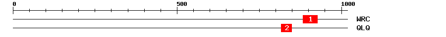 Signature Domain