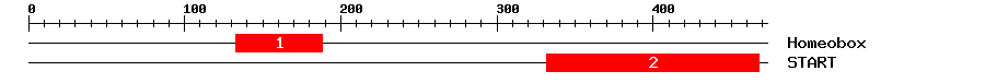 Signature Domain