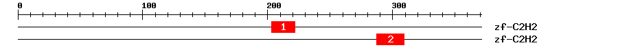 Signature Domain