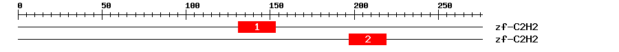 Signature Domain