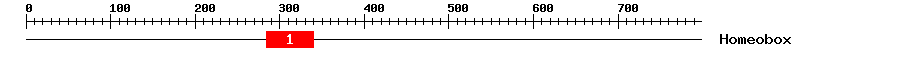 Signature Domain