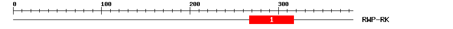 Signature Domain