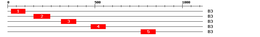 Signature Domain