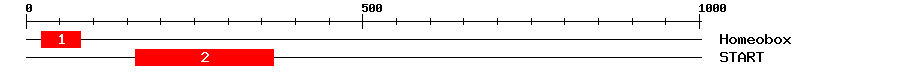Signature Domain