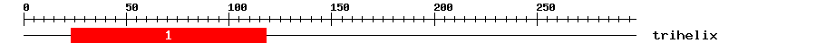 Signature Domain