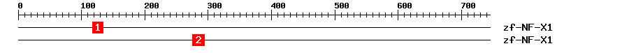 Signature Domain